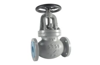 Globe Valve