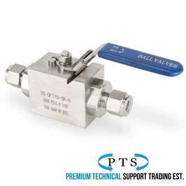 Compression Ferrule End Ball Valve