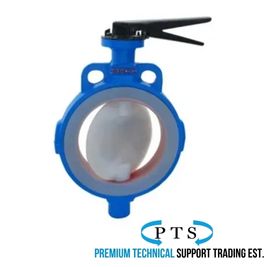 PTFE-Lined Butterfly Valve