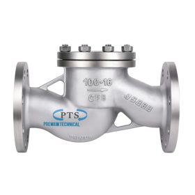 Lift Check Valve