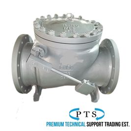 Non-Slam Check Valve