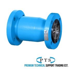 Nozzle Check Valve