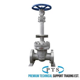 Cryogenic Gate Valves Stockist in Saudi Arabia