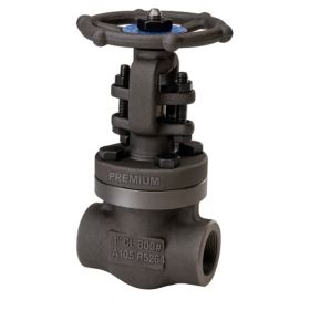 Bolted Bonnet Gate Valve