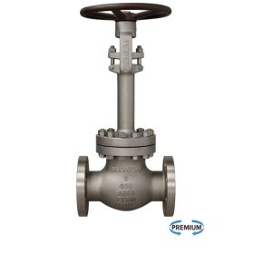 Cryogenic Gate Valve