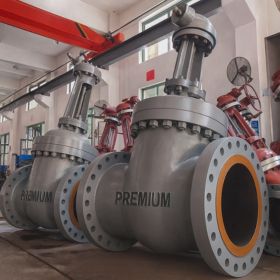 Flexible Wedge Gate Valve