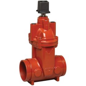 Grooved End Gate Valve