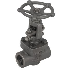 Threaded End Gate Valve (Screwed Ends)