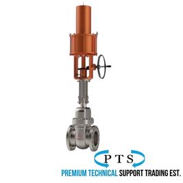 Pneumatic / Hydraulic Gate Valve