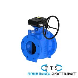 Eccentric Plug Valve