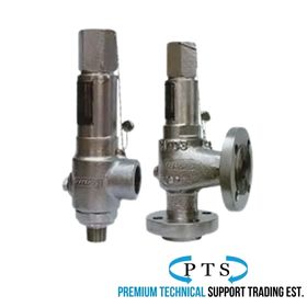 Safety Relief Valve (SRV)